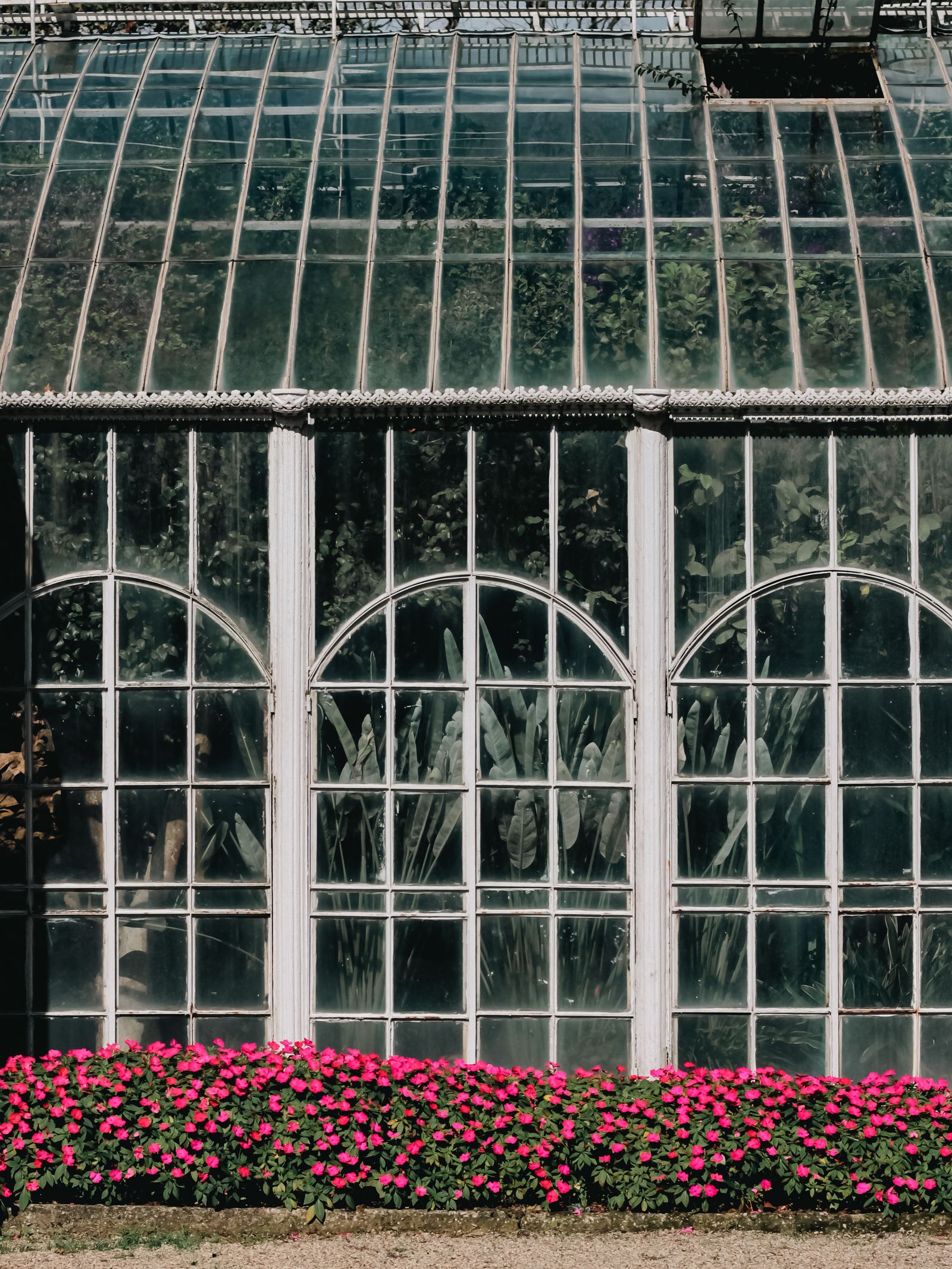 A vintage-style greenhouse exterior with arched windows and pink flowering plants in the foreground, serene garden atmosphere