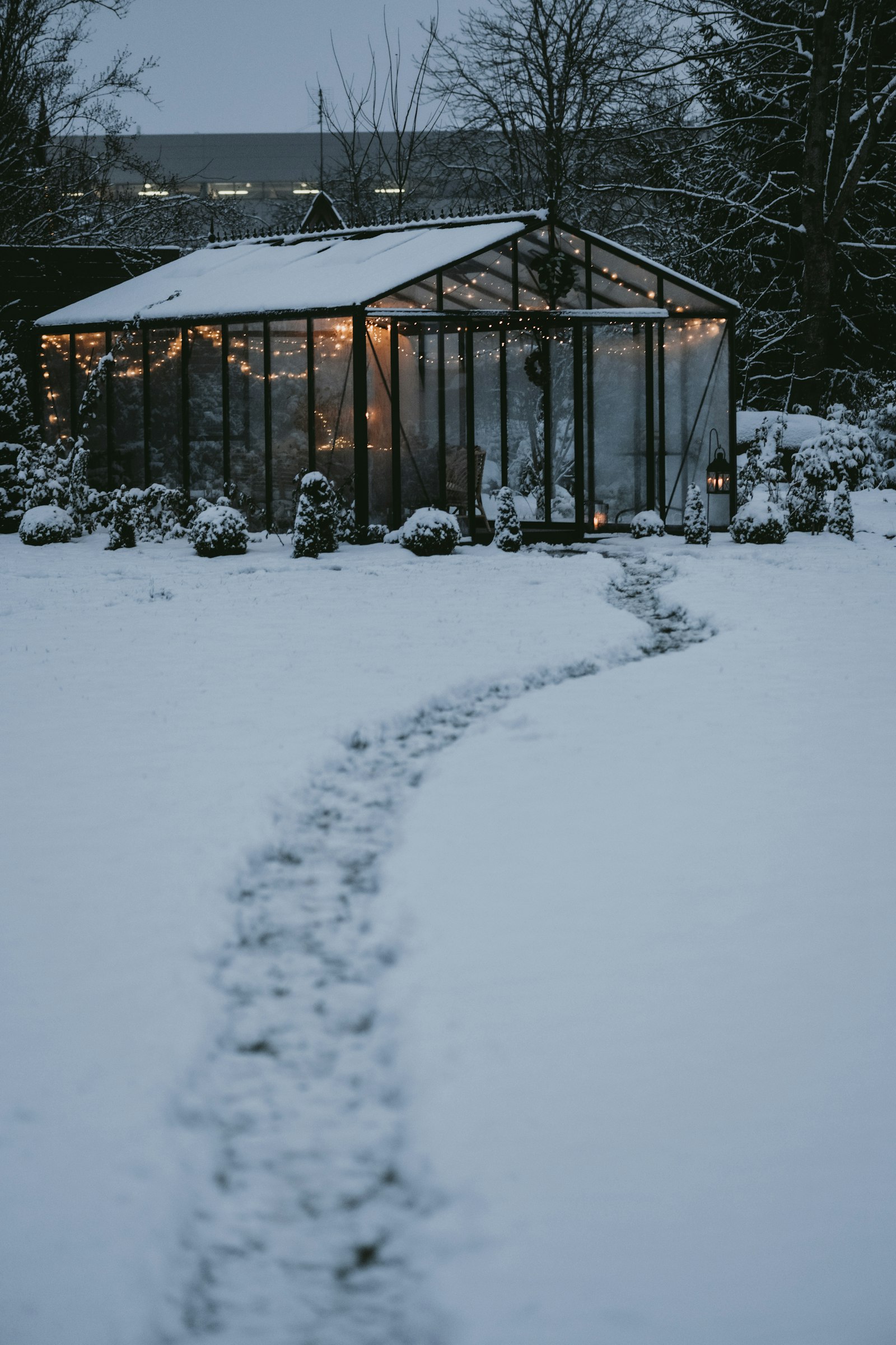 A path through snow leading toward a greenhouse, the structure illuminated warmly against a white winter landscape