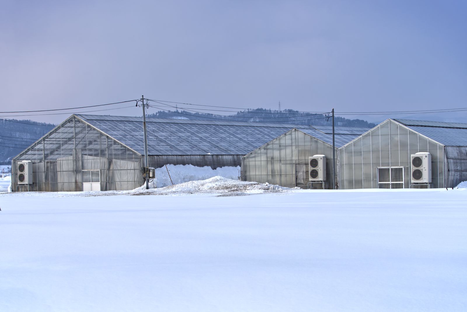 Two solid glass greenhouse structures blanketed in heavy snow against a clear blue winter sky