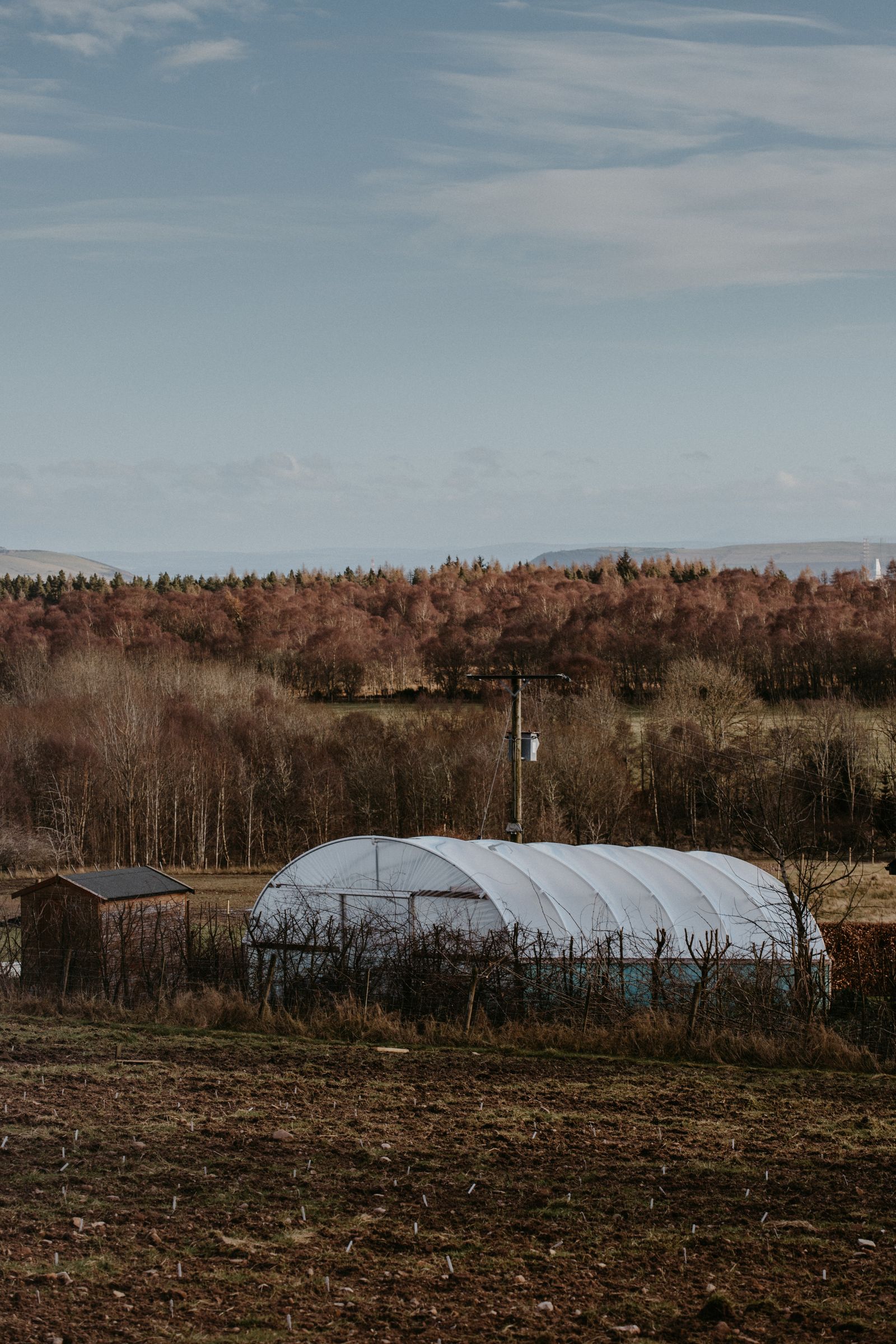 A white polytunnel greenhouse on a rural Scottish farm surrounded by trees and open ground