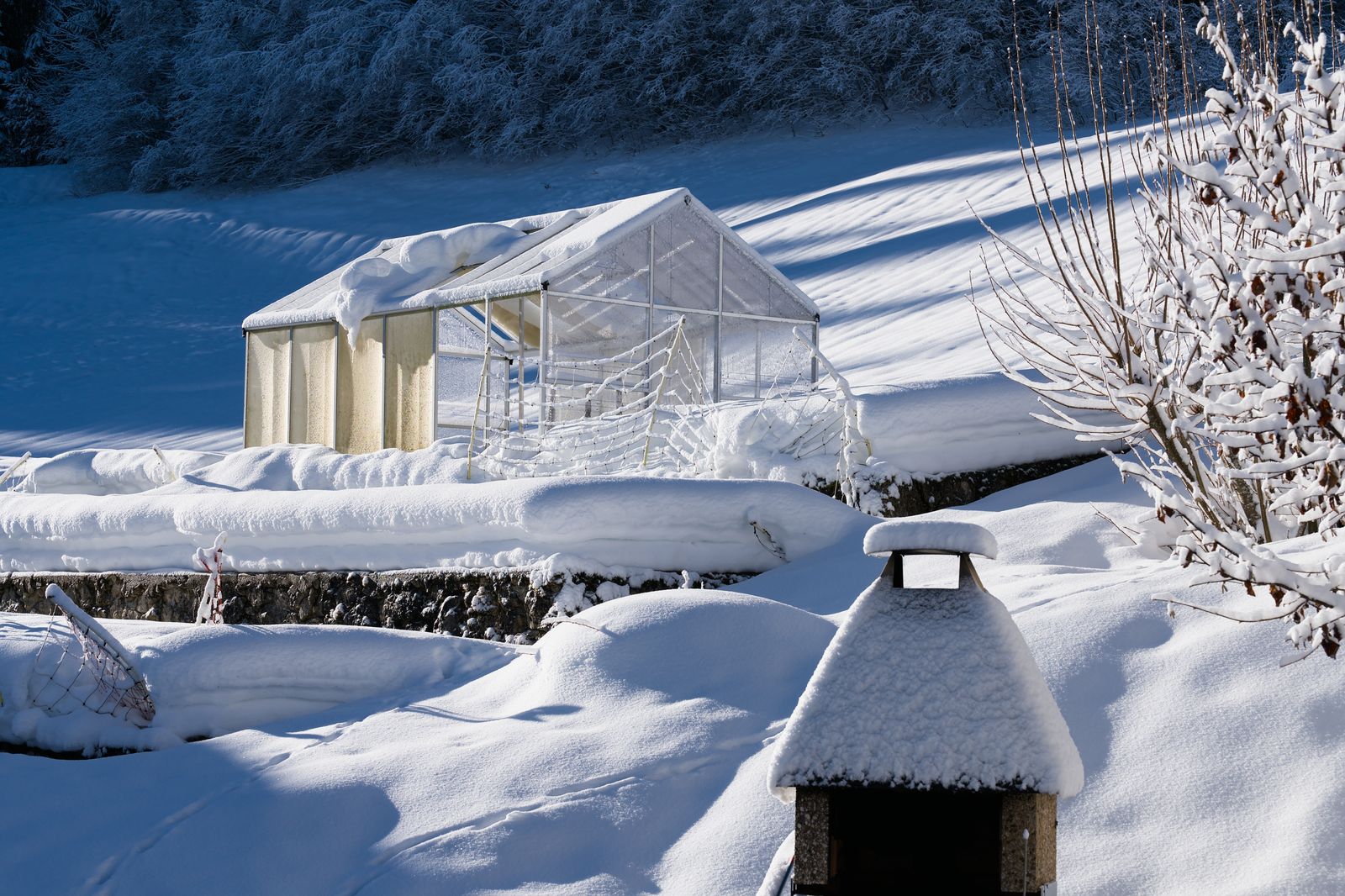 A small backyard greenhouse covered in snow in a Swiss winter landscape with clear blue sky overhead