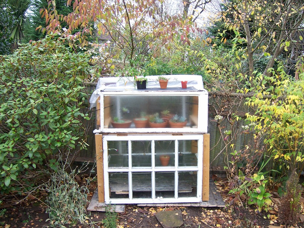 Black water barrels positioned along the south wall inside a small greenhouse, surrounded by growing beds