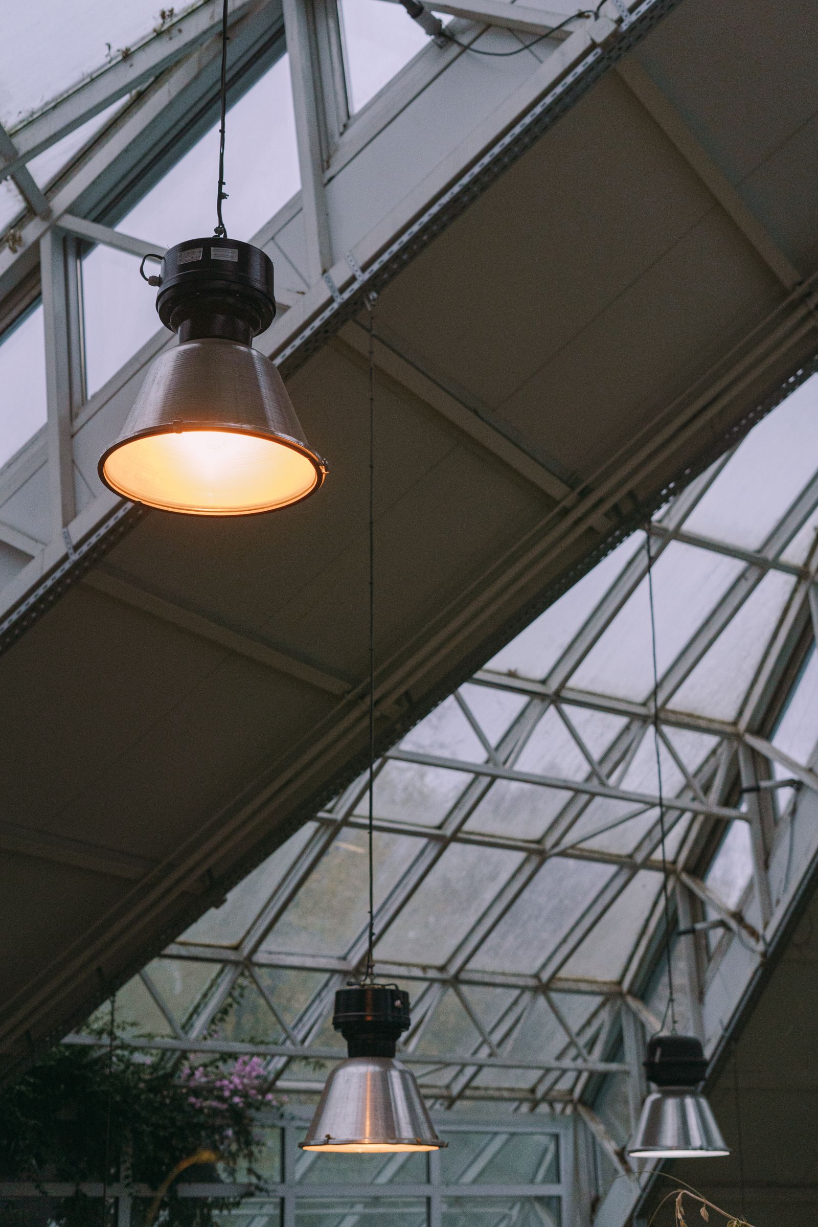 Contemporary greenhouse interior with glass panel roof and overhead lighting fixtures illuminating rows of plants