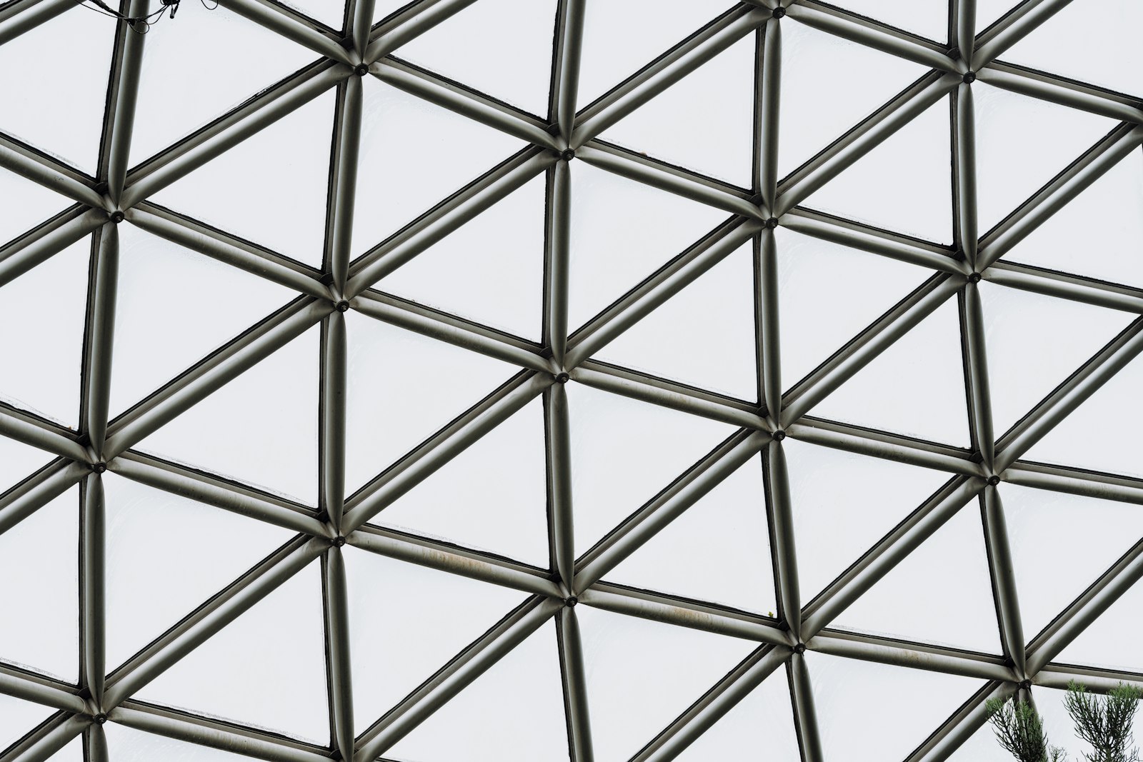 A greenhouse frame of glass panels and metal members, showing the squared geometry that a base must match
