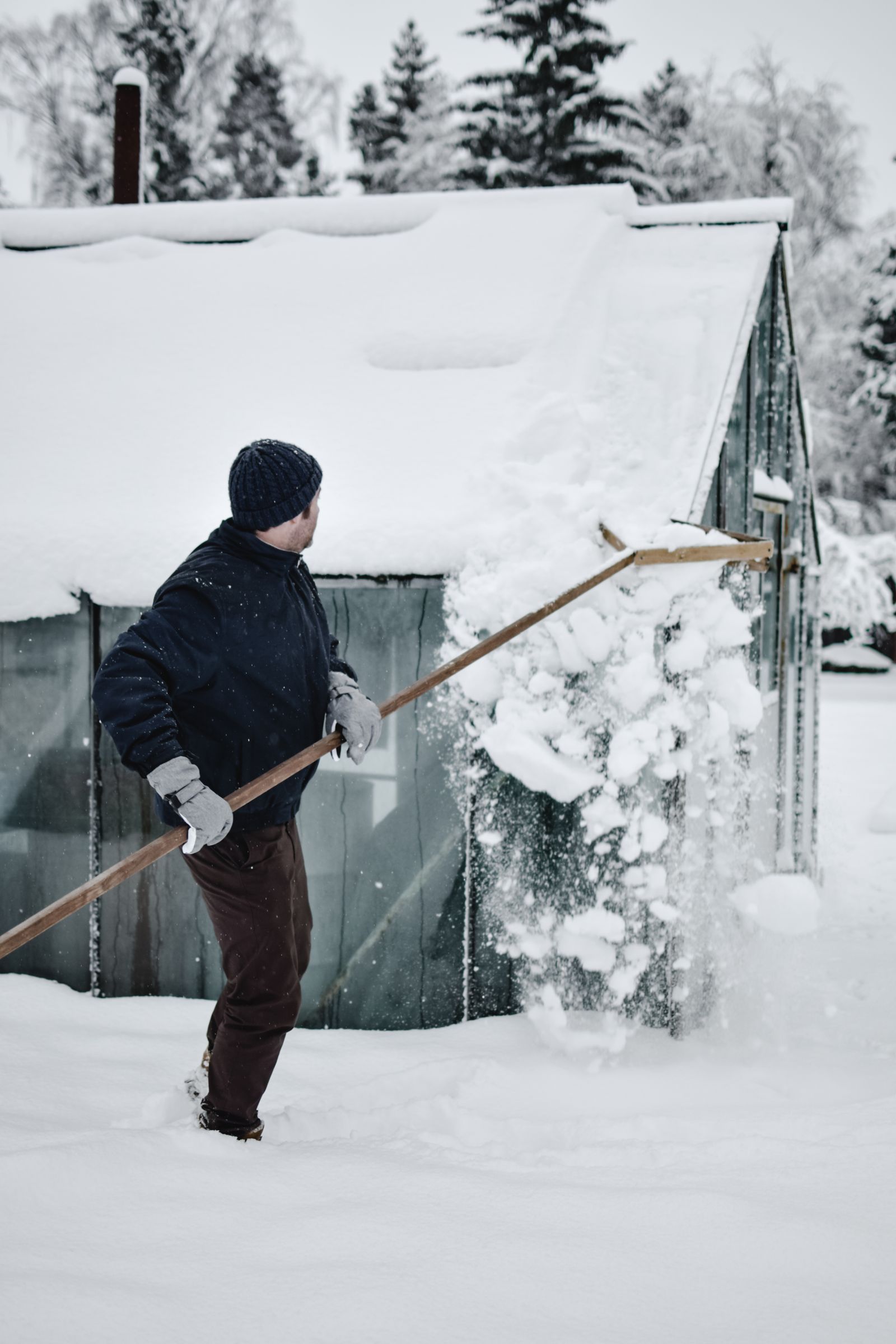 Person using a long-handled roof rake to push snow off a glass greenhouse roof in winter