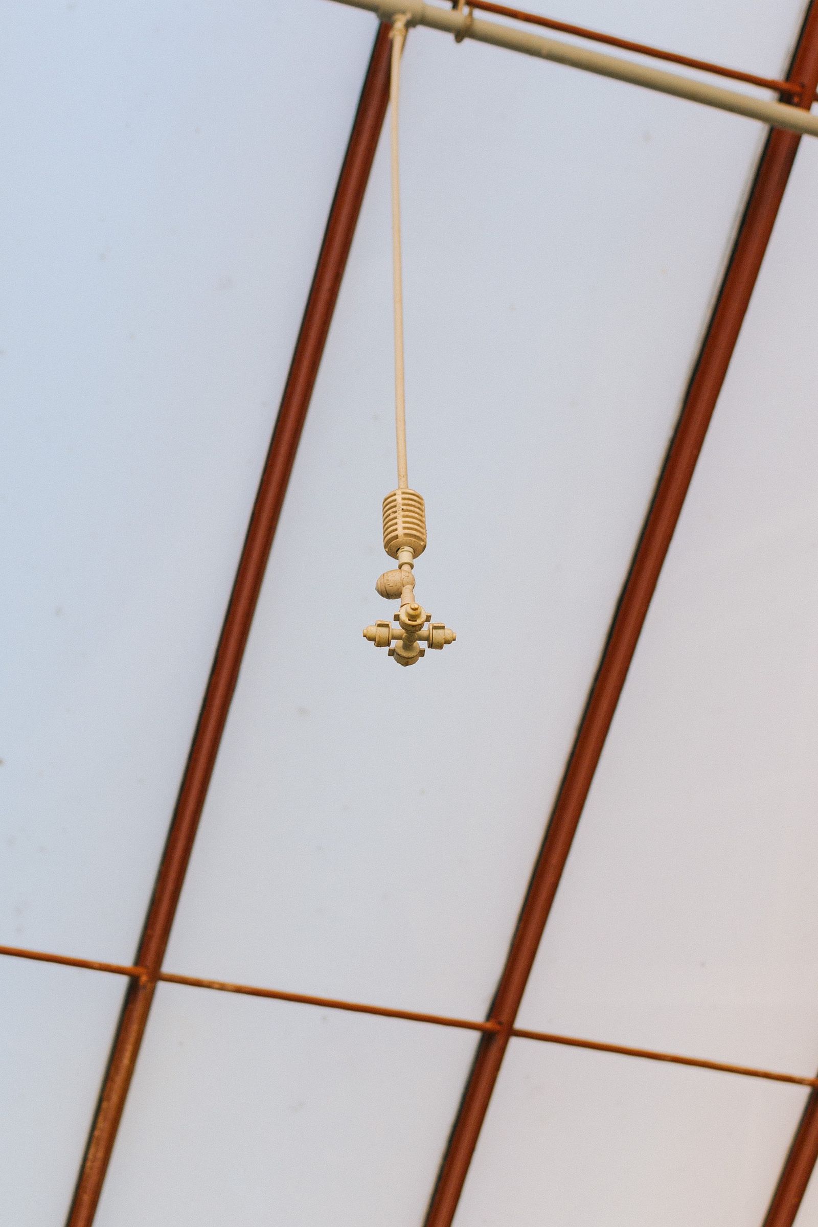 Close-up of industrial water sprinkler nozzles mounted on a greenhouse ceiling for overhead misting and humidity control