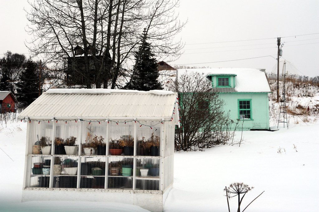A backyard greenhouse covered in snow, glowing against a winter dusk