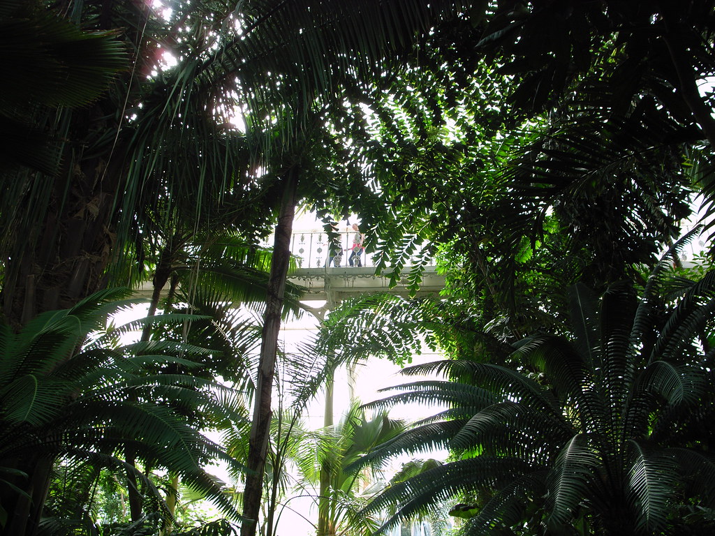 The quiet, empty interior of a large glasshouse filled with plants