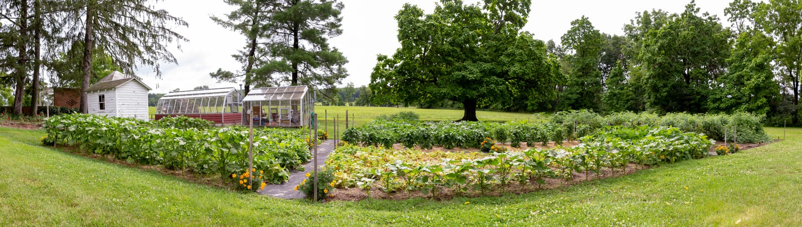Panoramic view of vegetable garden beds growing in front of two greenhouse structures at the Eisenhower National Historic Site in Pennsylvania