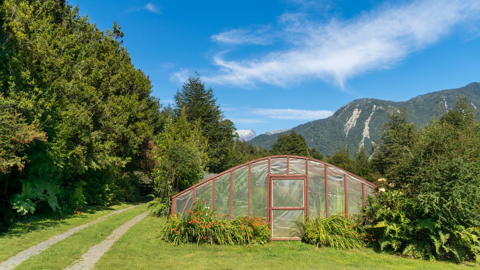 A residential greenhouse surrounded by lush greenery in a garden setting with mountain backdrop