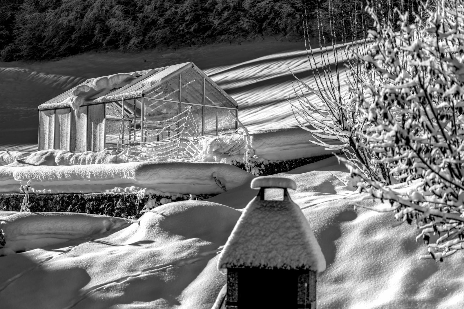 A polycarbonate greenhouse standing in deep snow against a winter countryside, the curved roof shedding white