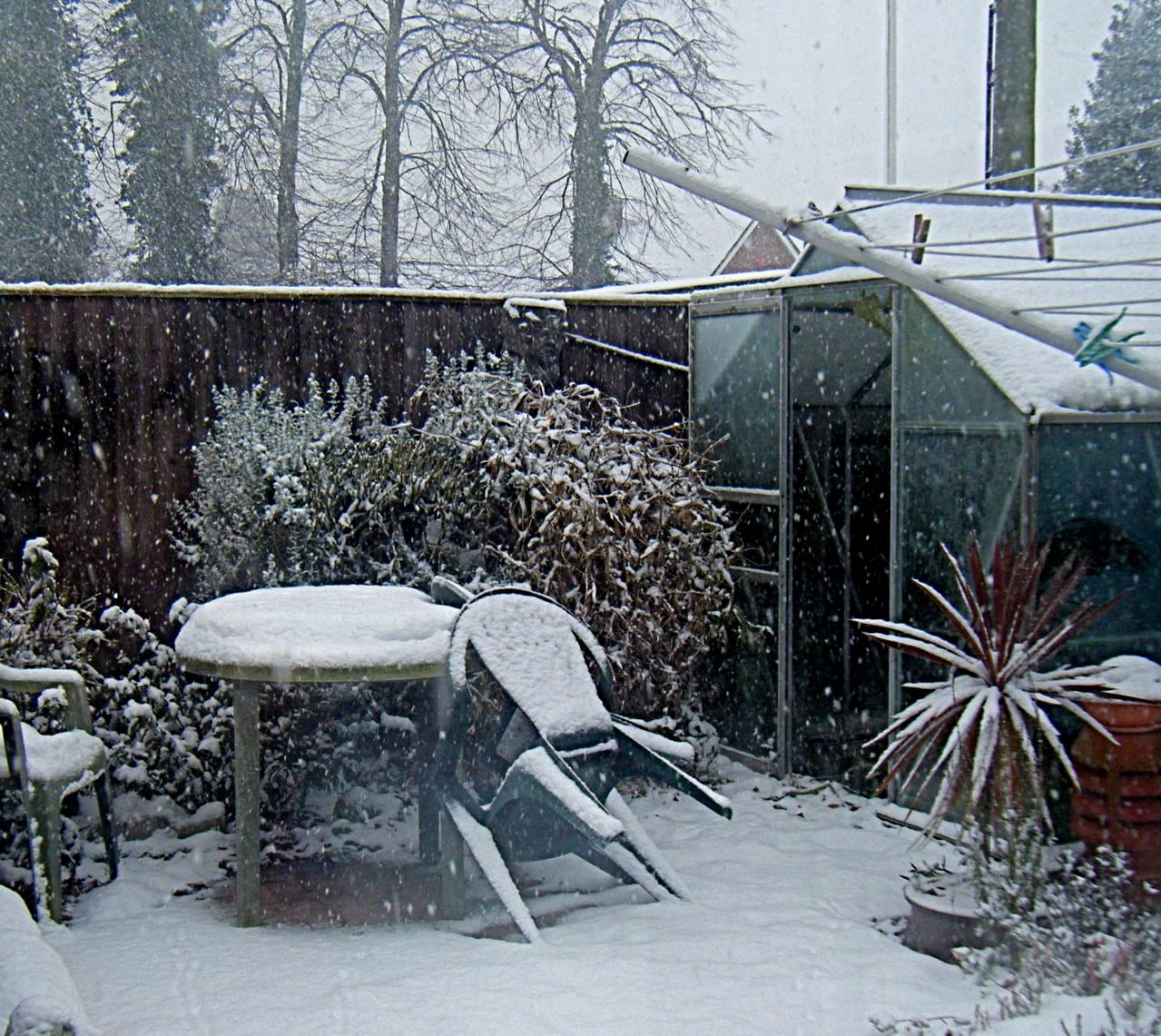 Polycarbonate greenhouses covered in fresh snow, the curved roofs already shedding the load at the edges