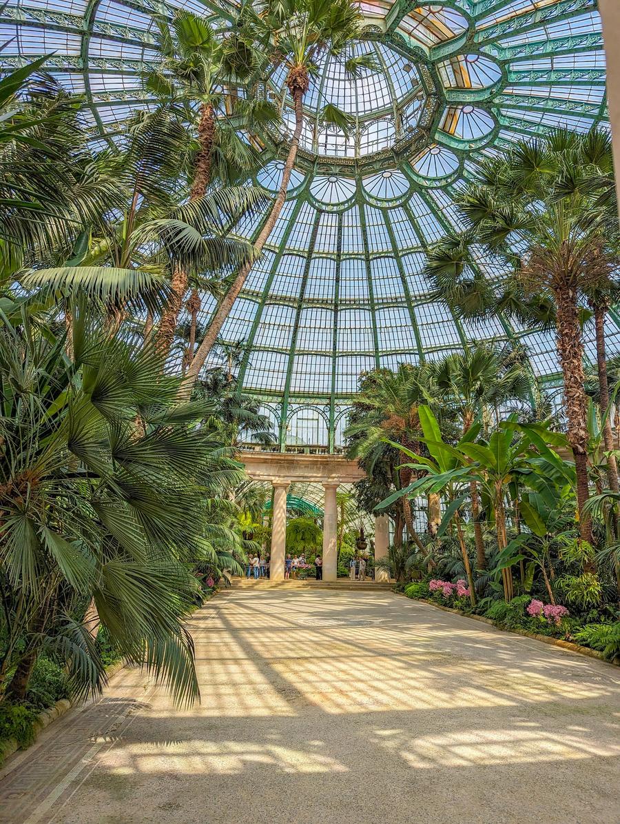 Interior of a grand historic glass greenhouse in spring, with tall arched glass panels, ornate ironwork, and flowering plants growing beneath